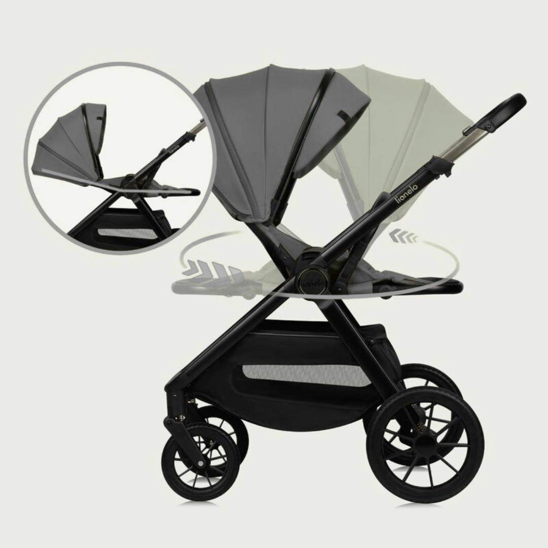 Scaun reversibil